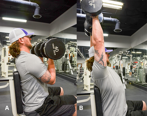 Arnold Press