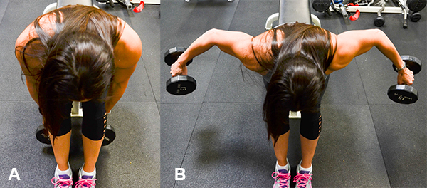 Bent over Lateral Raise