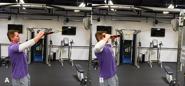 Face Pulls