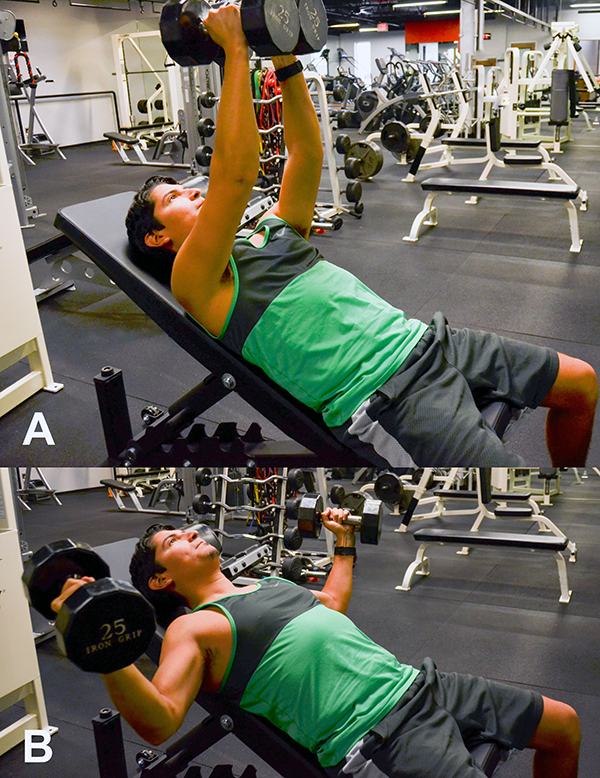 dumbbell fly incline