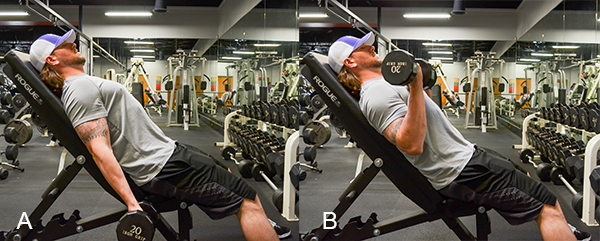 incline dumbell curl